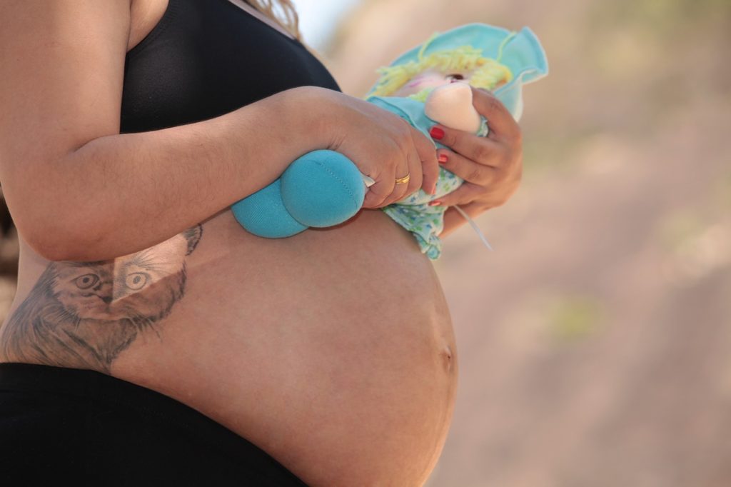Pregnant Woman Mother Gravide  - fernandasuzukimakeup / Pixabay
