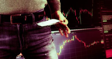 Trading Forex Business Chart  - mohamed_hassan / Pixabay