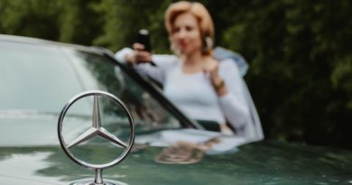 Mercedes S Hood Emblem Design  - Victoria_Borodinova / Pixabay