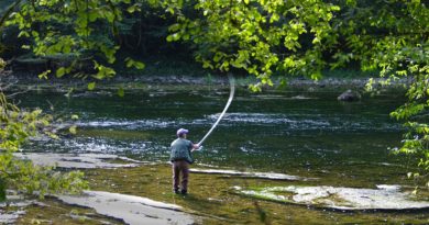 River Fishing Fisherman Fishing Rod  - b52_Tresa / Pixabay