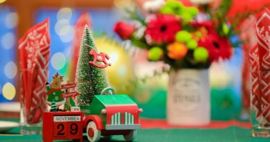 Tree Car Reindeer Christmas Sign  - lijinchang / Pixabay