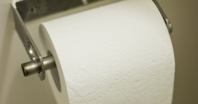 Portrait Of A Toilet Roll  - Shaun_F / Pixabay