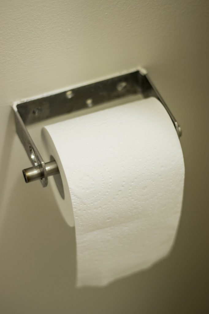 Portrait Of A Toilet Roll  - Shaun_F / Pixabay