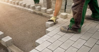 Construction Worker Bricks  - RobbieWi / Pixabay