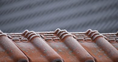 Roof Tiles Freeze Frozen Roofs  - misskodak / Pixabay