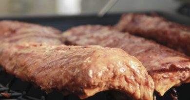 Bbq Grilling Meat Grill Food  - E2OMedia / Pixabay