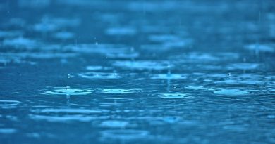 Raindrops Water Pool Rain Ripples  - Mylene2401 / Pixabay