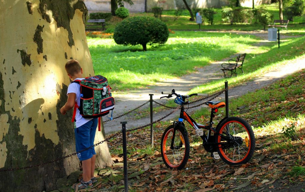 Child The Student Satchel Boy  - _Alicja_ / Pixabay