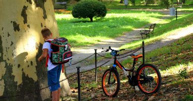 Child The Student Satchel Boy  - _Alicja_ / Pixabay