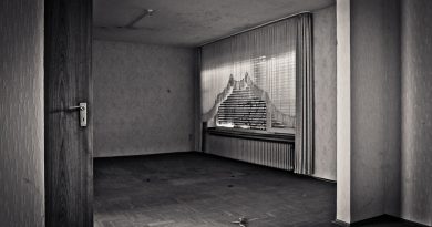 Lost Places Window Old Pforphoto  - MichaelGaida / Pixabay