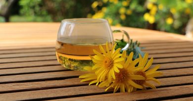 Tea Drink Cup Flowers Bouquet  - GloboxR / Pixabay