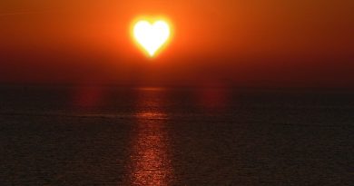 Vitamin D Health Live Background  - Monsterkoi / Pixabay