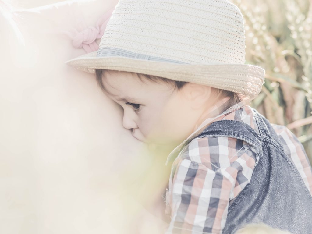 Toddler Boy Breastfeeding Baby  - IamFOSNA / Pixabay