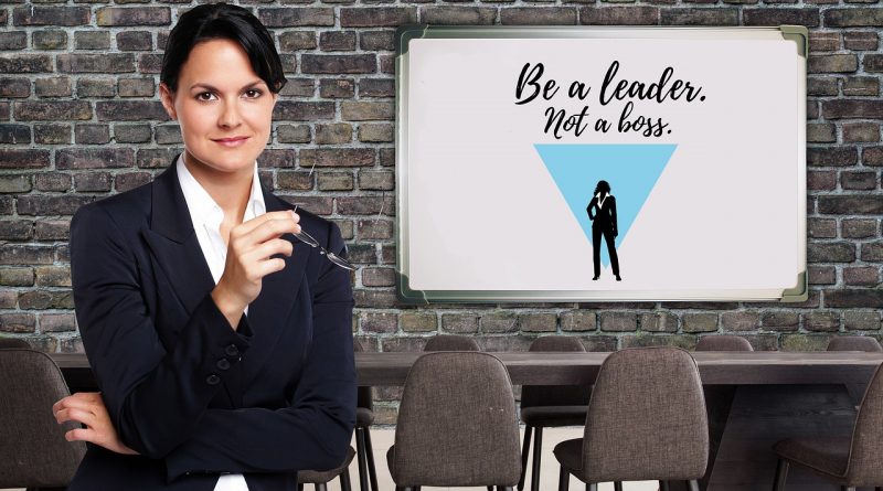 Businesswoman Superior Boss  - geralt / Pixabay