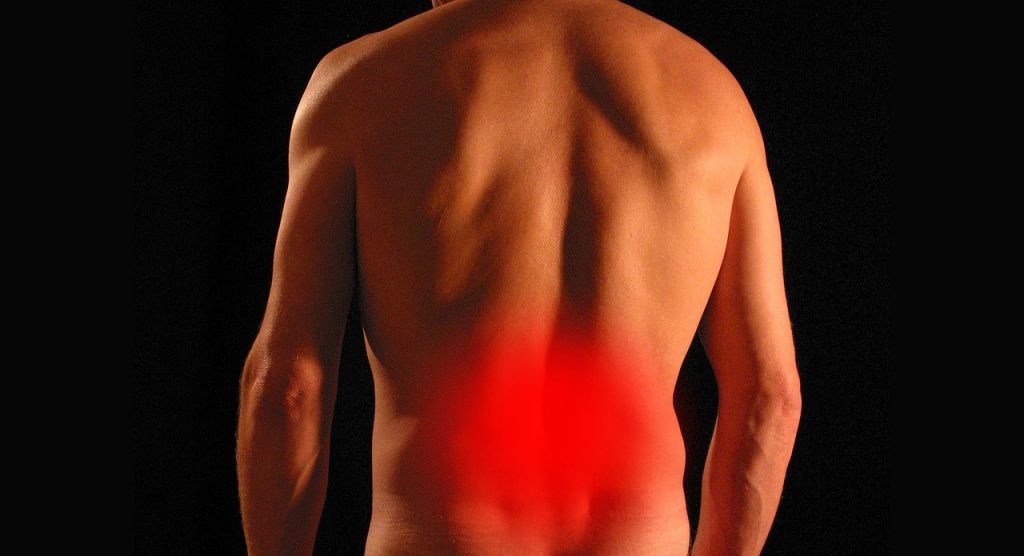 Back Pain Spine Injury Backache  - Tumisu / Pixabay