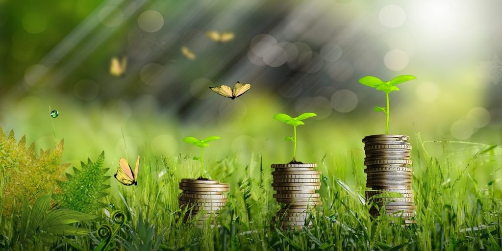 Money Plants Growth Coins Finance  - Orlandow / Pixabay