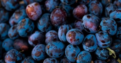 Fruit Grapes Organic Food Healthy  - Shmeliiik / Pixabay