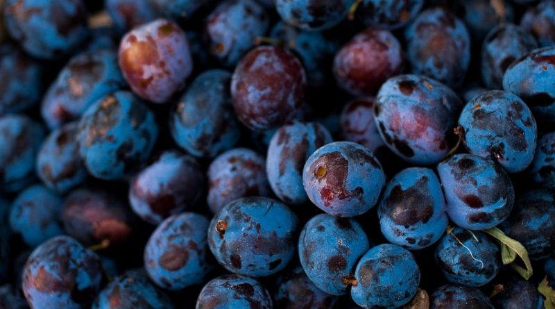 Fruit Grapes Organic Food Healthy  - Shmeliiik / Pixabay