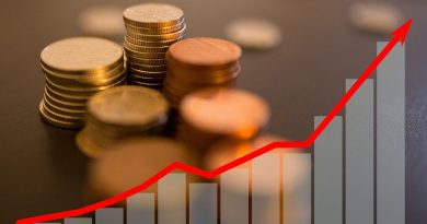 Investment Money Coins Graph  - Tumisu / Pixabay