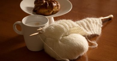 Knitting Knitwear Hobby Yarn Wool  - 370eis / Pixabay