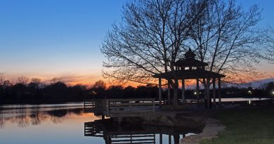 Lake Sunset Landscape Outdoors  - jotoya / Pixabay
