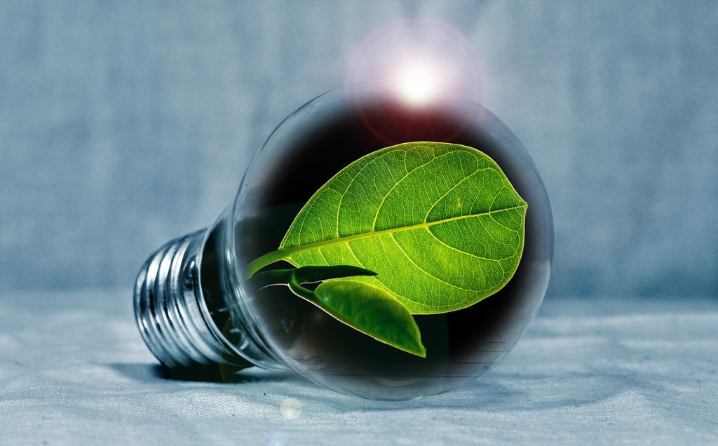 Lightbulb Leaf Chlorophyll Green  - PIRO4D / Pixabay