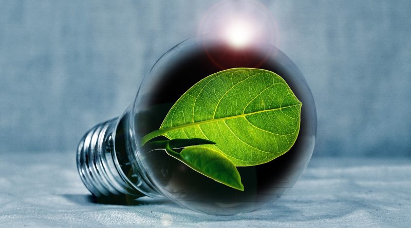 Lightbulb Leaf Chlorophyll Green  - PIRO4D / Pixabay