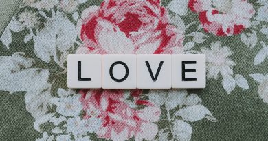 Love Lovers Relationship Couple  - fuzzyrescue / Pixabay