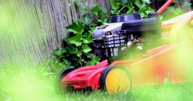Lawn Mower Mow Gardening Lawn  - congerdesign / Pixabay
