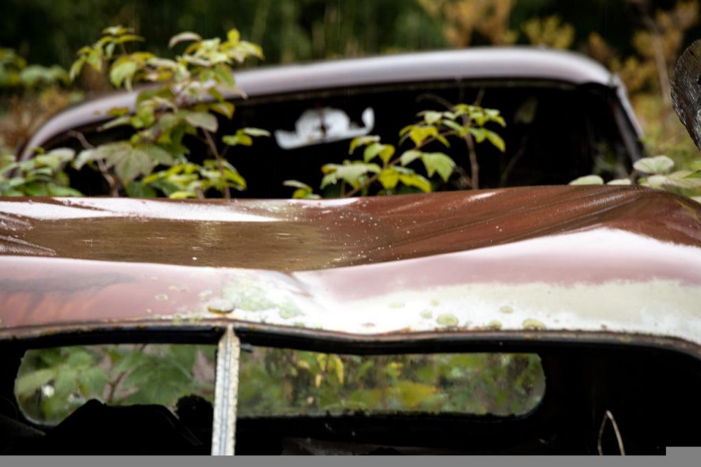 Car Vehicle Rusty Abandoned Leaves  - Photorama / Pixabay