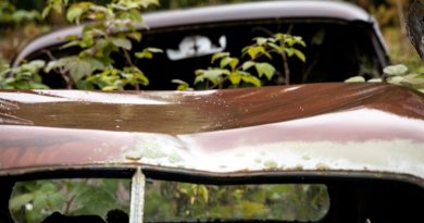 Car Vehicle Rusty Abandoned Leaves  - Photorama / Pixabay