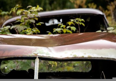 Car Vehicle Rusty Abandoned Leaves  - Photorama / Pixabay