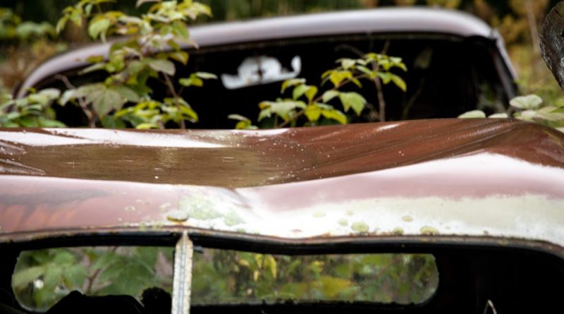Car Vehicle Rusty Abandoned Leaves  - Photorama / Pixabay