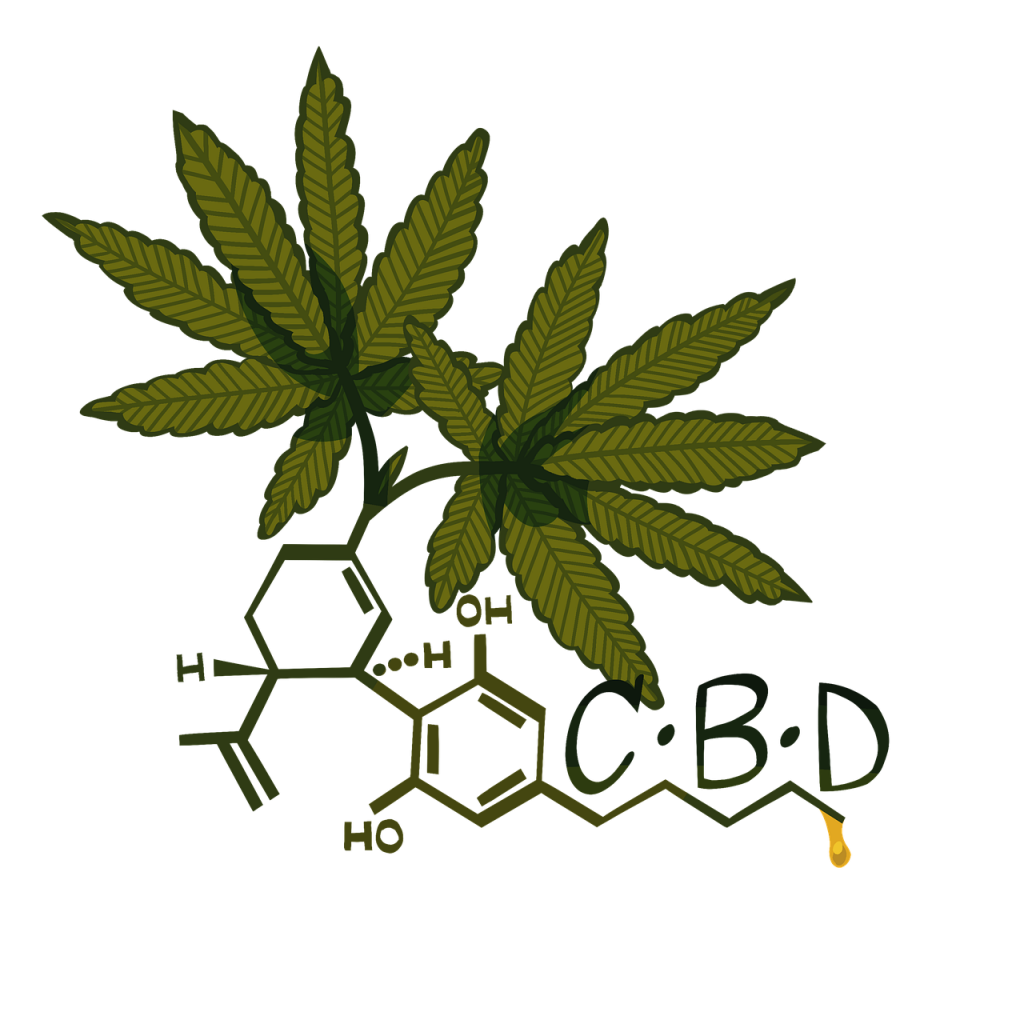 Cannabis Cbd Hemp Cannabidiol  - Katamaheen / Pixabay