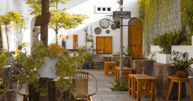 Garden Outdoor Cafe Cafe  - tms_freelancer / Pixabay