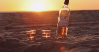 Wine Beach Sunset Sand Rose  - KiraHundeDog / Pixabay