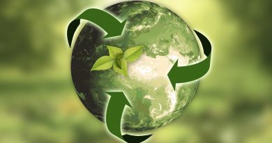 Šest ekologických projektů se uchází o výhru v E.ON Energy Globe. Hlasujte o vítězi a získejte skvělé ceny