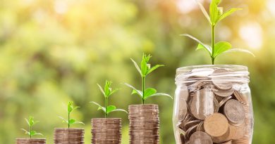 money, coin, investment