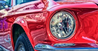 ford, mustang, car