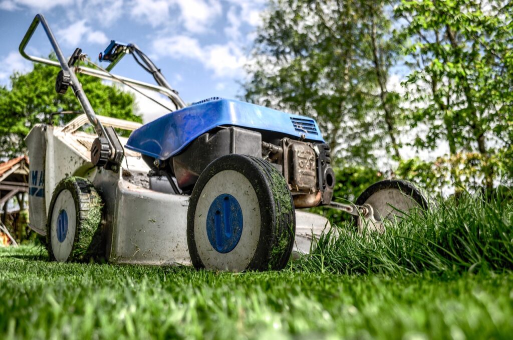 lawn mower, grass, garden