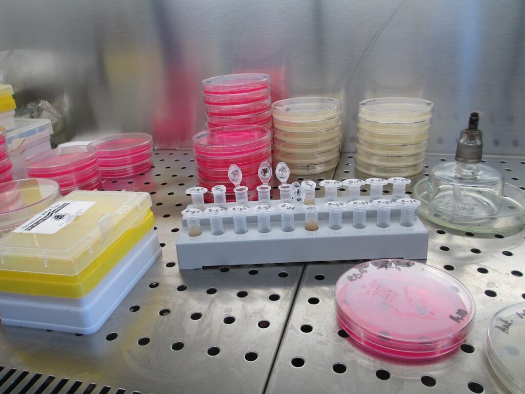 laboratory, lab, science