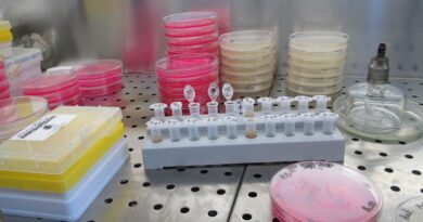laboratory, lab, science