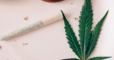 Green Leaf on White Table