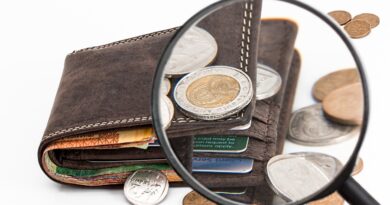 wallet, coins, magnifying glass