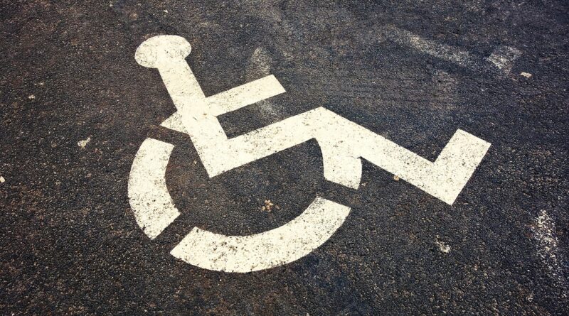 wheelchair, pictogram, invalid, handicapped, parking, parking section, accessibility, facility, vehicle, transportation, gray park, wheelchair, wheelchair, wheelchair, wheelchair, wheelchair, invalid, invalid, accessibility, accessibility, accessibility